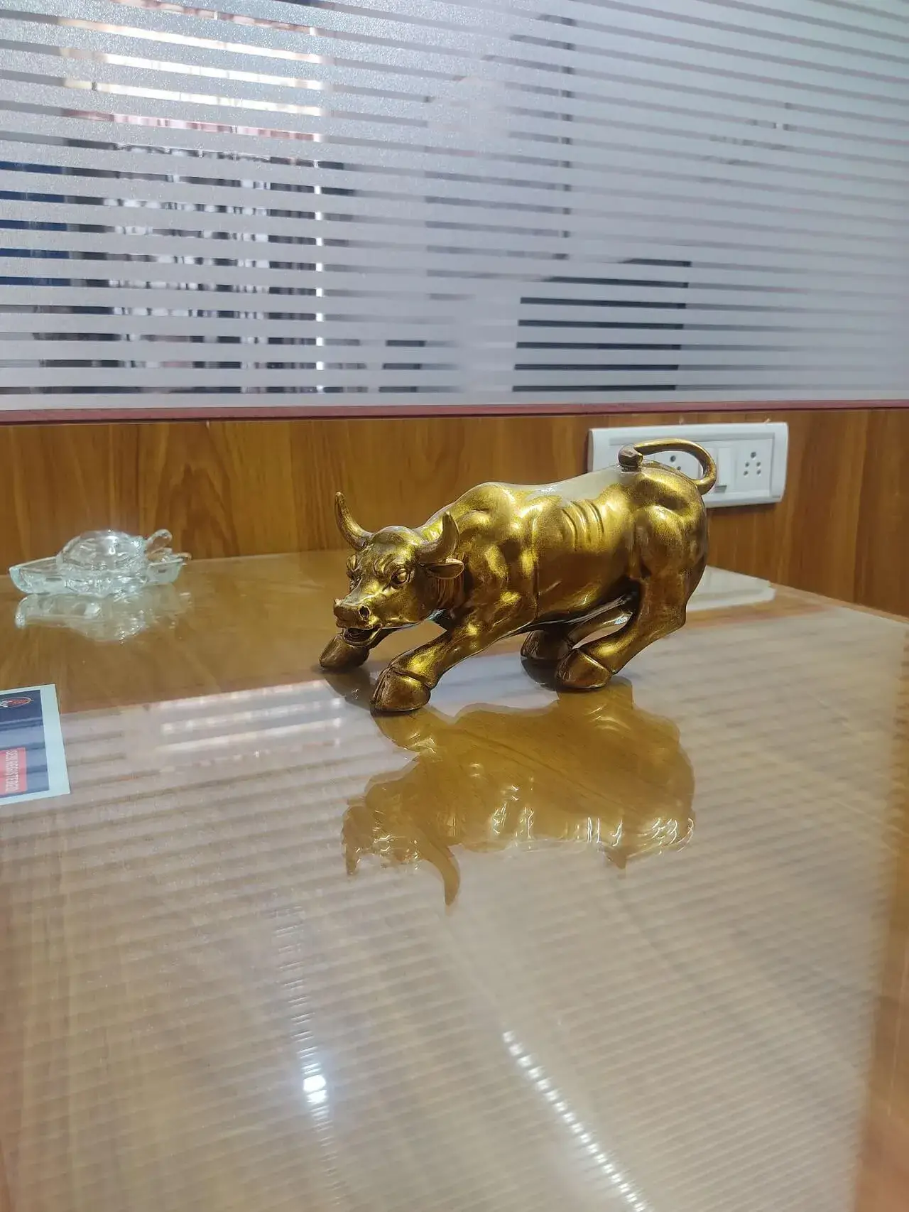 Shubh Trading Academy classroom in Udaipur